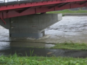 水没したバイク処分　名古屋